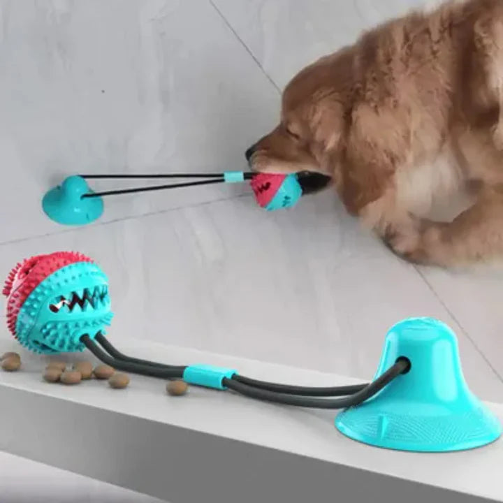 Interactive Suction Cup Dog Toy